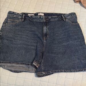 Ava & Viv 22W shorts